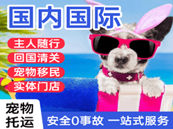 黄花航空快递国际宠物托运 【国